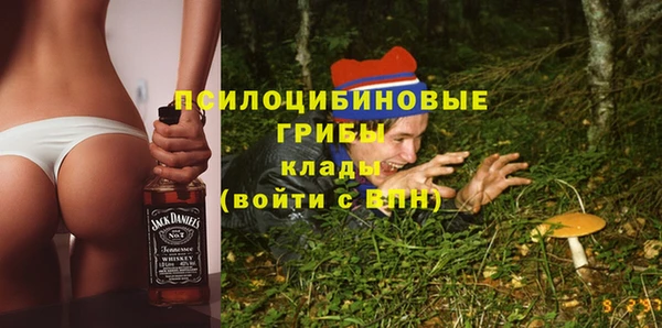 спиды Арсеньев