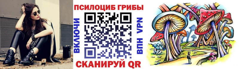 Галлюциногенные грибы MAGIC MUSHROOMS  закладки  mega вход  Сысерть 